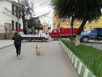 Potosí es cercado por tres paros contra el Código del Sistema Penal
