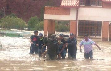 Rescatan a un anciano que quedó atrapado en medio del agua.