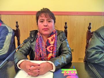 Elizabeth Ugarte (MAS)-Stría. ComISIÓN económica