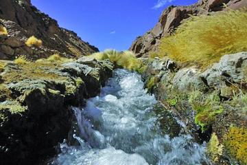 Bolivia analiza contrademandar a Chile por las aguas del Silala