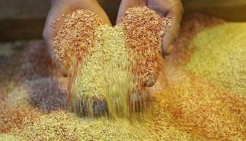 Bolivia exportó cereales por $us 1.028 millones en la última década