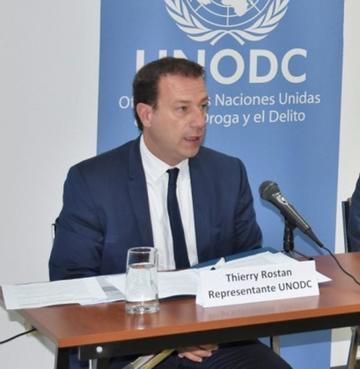 ONU expresa su preocupación por alza de los cultivos de coca en Bolivia