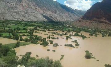 El desborde del Pilcomayo afectó a las tierras de cultivo.