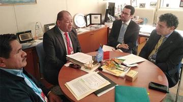 Gobierno: operativos contra las drogas suben en 156 %