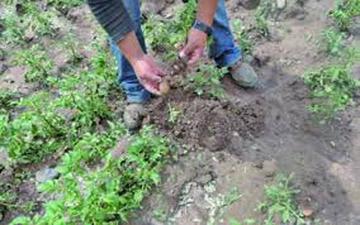 El agua continúa causando estragos en el Departamento