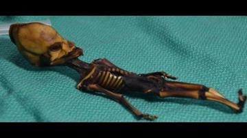 Dicen que restos no son de alienígena