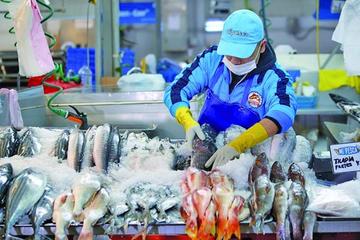 El consumo del pescado marca un récord en Potosí
