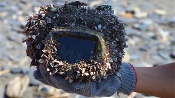 Recuperan cámara de dos años en el mar