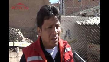 Cerdos devoran a un perro muerto con mal de rabia