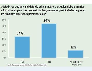 Mayoría cree que ser indígena no es requisito para enfrentar a Evo