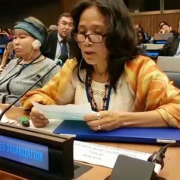 NN.UU. insta al Gobierno de Evo a respetar derechos indígenas
