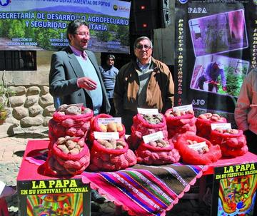 Betanzos inicia el festival de la papa