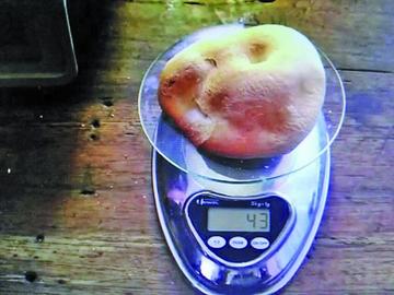 Encuentran panes de 40 gramos y se investiga el uso de bromato