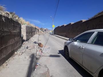 Piden levantar restos de un perro muerto