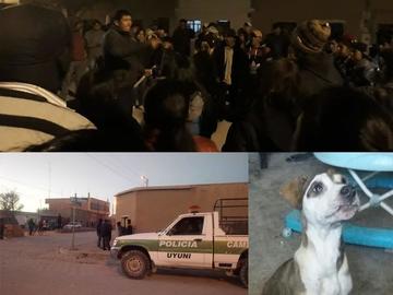 Arriba: la gente reacciona al saber del ataque del perro. Abajo: El carro policíal frente la casa donde ocurrió, y uno d