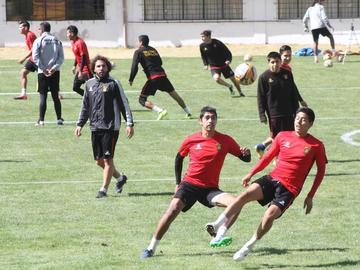 Azucareros quieren acabar con la campaña del Tigre
