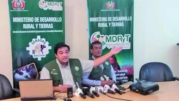 Senasag descarta por ahora que exista arroz plástico en Bolivia 