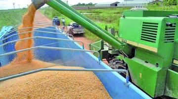Producción agrícola creció 40 por ciento en 12 años