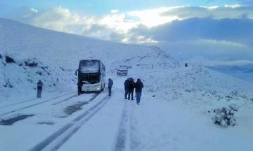 Así quedaron las flotas plantadas en la nieve.