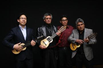 Expertos del charango ofrecen  concierto