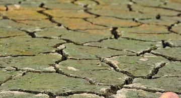 Ola de calor deja muerte de cultivos en Corea del Norte
