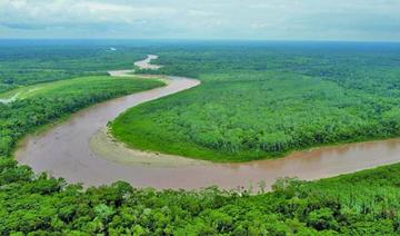 En el Tipnis esperan al Tribunal de Derechos de la Naturaleza 