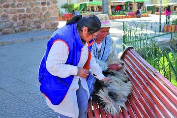 Campaña antirrábica busca alcanzar la meta de 58.000 vacunados