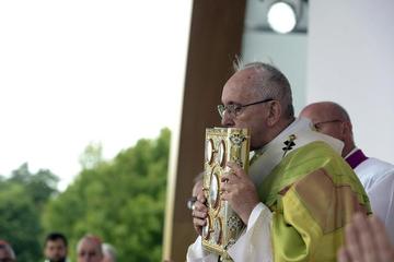 El pontífice celebró una misa ante miles de familias en Dublín.