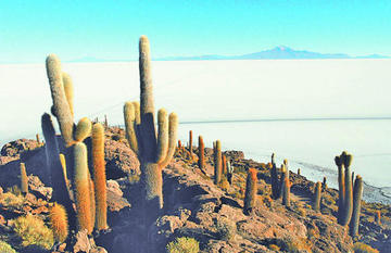 Bolivia promociona mejores atractivos en la feria de turismo de Argentina 