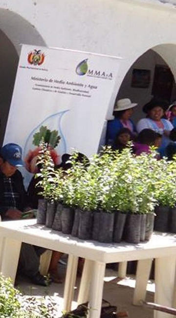 Hoy plantan en la ciudad árboles en cuatro áreas