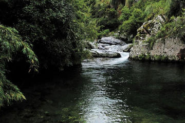 Preparan una denuncia internacional en defensa de la reserva Tariquía 