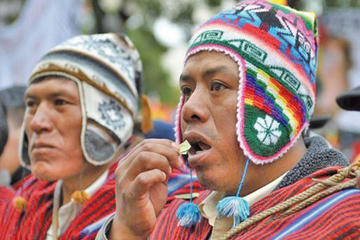Bolivia exhibe los derivados de coca
