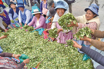 Las comerciantes de coca muestran su producto en un acto público.