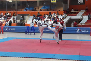Los combates se realizaron en el coliseo cerrado “Ciudad de Potosí”.