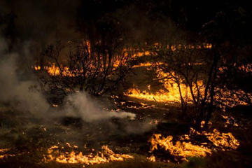 Numerosos incendios dejan dos muertos en el sur de Chile