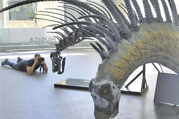 Hallan restos de otro dinosaurio
