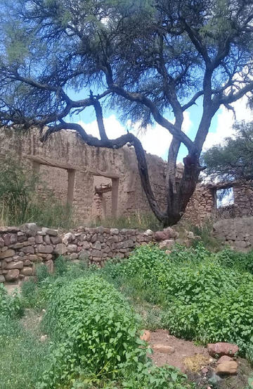 La casa donde vivió el escritor en la comunidad de Chequelte.