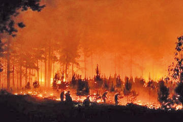 Incendios forestales siguen activos en 28 focos al centro y sur de Chile