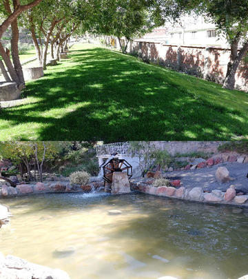 Arriba: el paisaje es distinto a lo que se ve en la ciudad. Abajo: hay peces en el estanque.