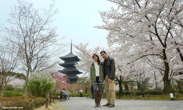 Tokio celebra el inicio  de la primavera en Japón