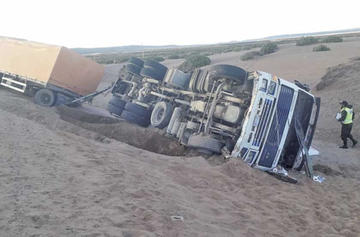 Vicuñas provocan un accidente aparatoso