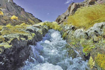 Las aguas del manantial nacen en el cantón Quetena Chico, en el Departamento de Potosí.