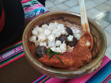 FRICASÉ DE LLAMA