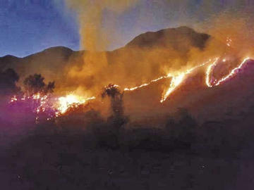 Un incendio en la serranía de Sama en Tarija deja 2 heridos