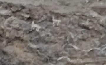 Estas pinturas de llamas fueron reconocidas como indudablemente prehispánicas.