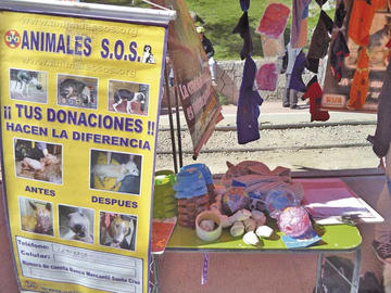 Animales SOS estuvo presente incentivando la adopción de animales.