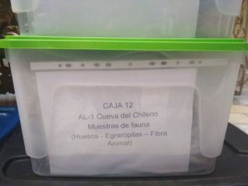 Objetos de la Cueva del Chileno.