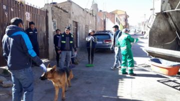 La limpieza comenzó en las madrugada y se prolongó a lo largo del día.