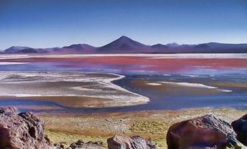 La REA es donde se encuentra ubicada la Laguna colorada.a 