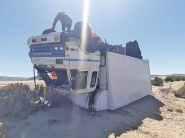 Vicuñas causan un aparatoso accidente